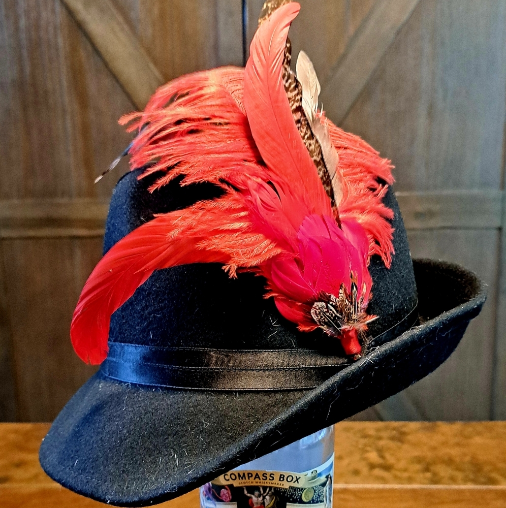 Black Fedora with Red Feathers